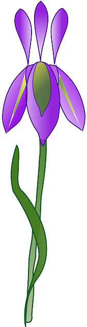 Purple, Iris, Plant, Garden, Nature - Iris Flower Vector Png (320x640)