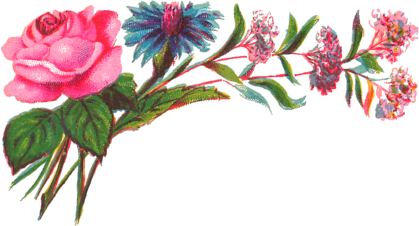 The Soft Colors Make It A Lovely Flower Download - Floral Design (1500x823)