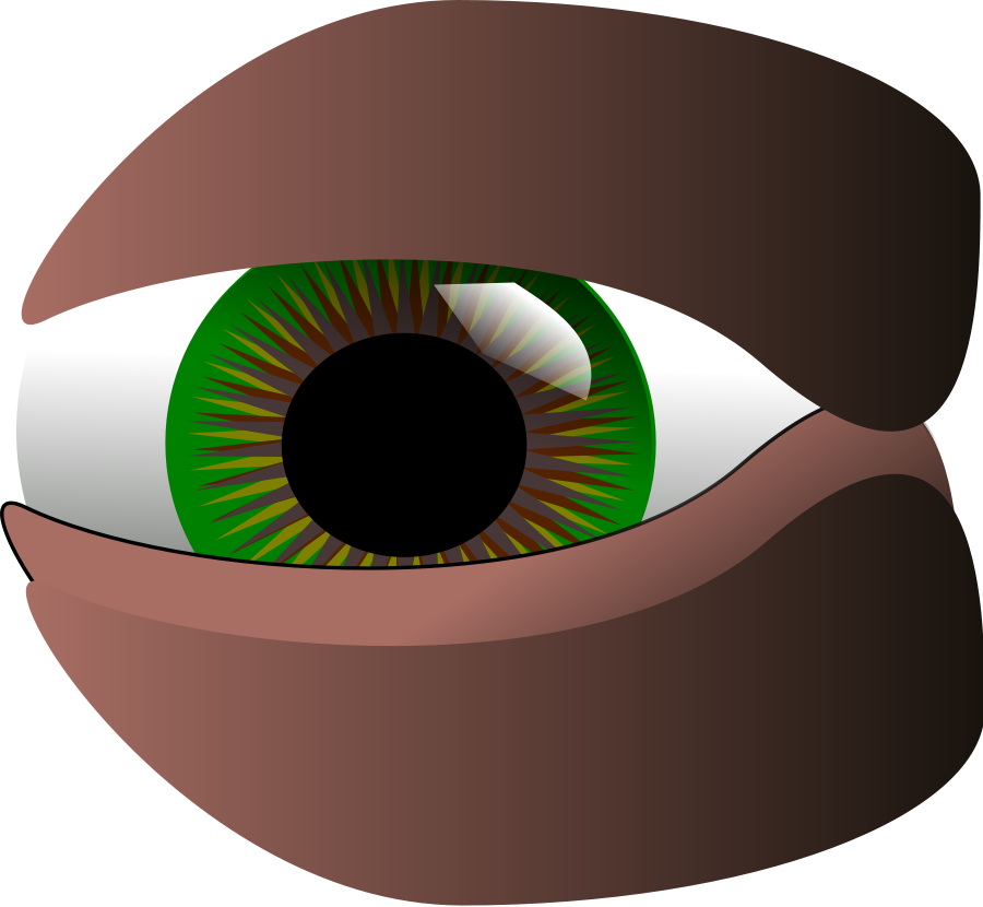 Eye Clip Art - Eye (900x830)