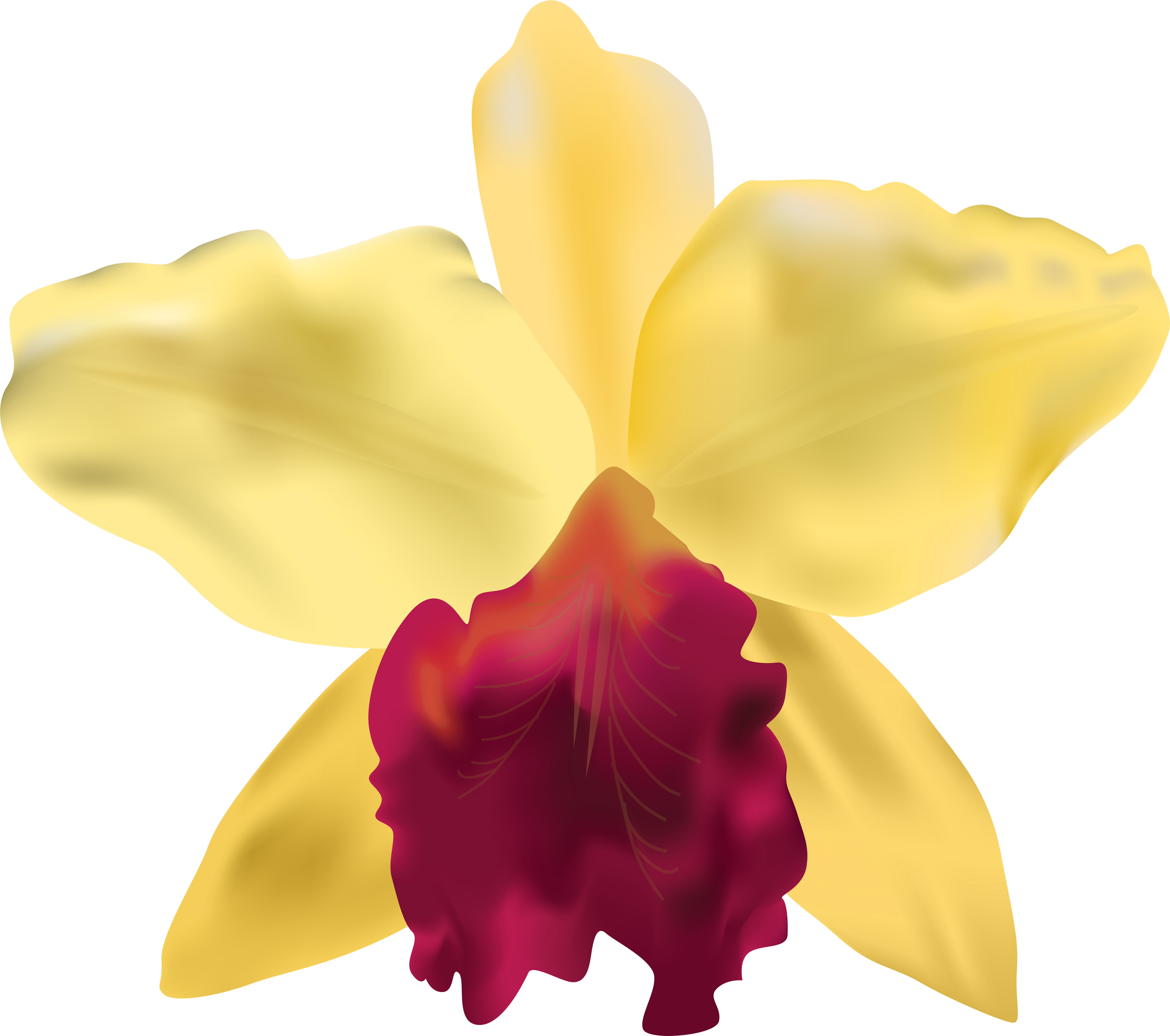 Yellow Orchid Png Clip Art Image - Yellow Orchid Png Clip Art Image (8000x7082)