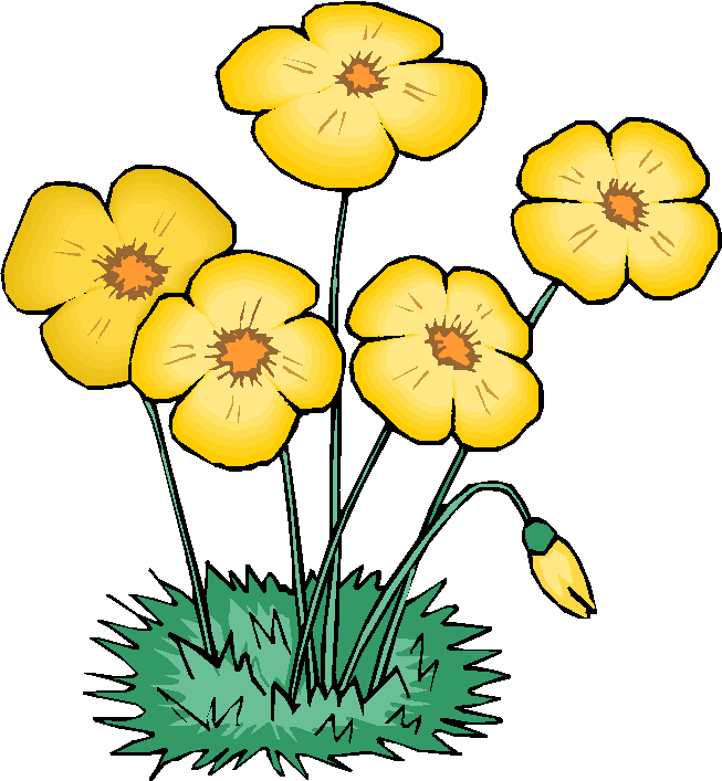 Flower Sale - Flowers Clipart Animation (2041x2210)