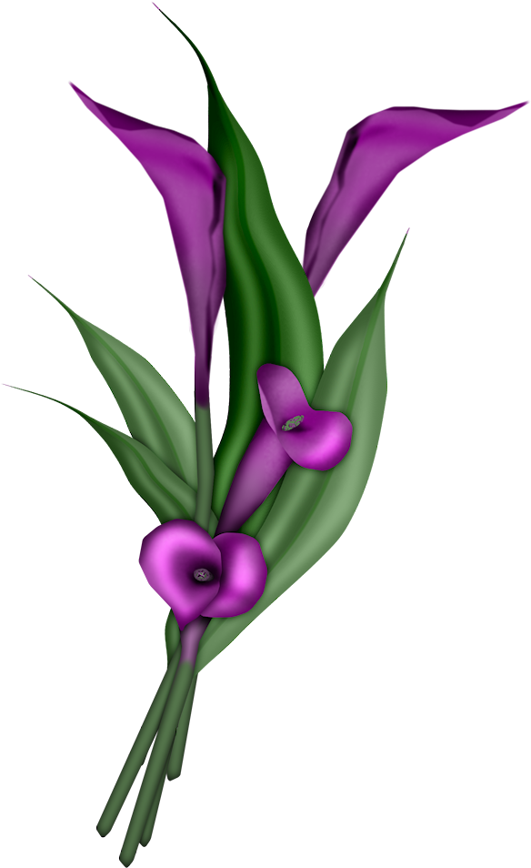 0 7c969 E70ee399 Orig - Calla Lily Blue Png (652x1003)