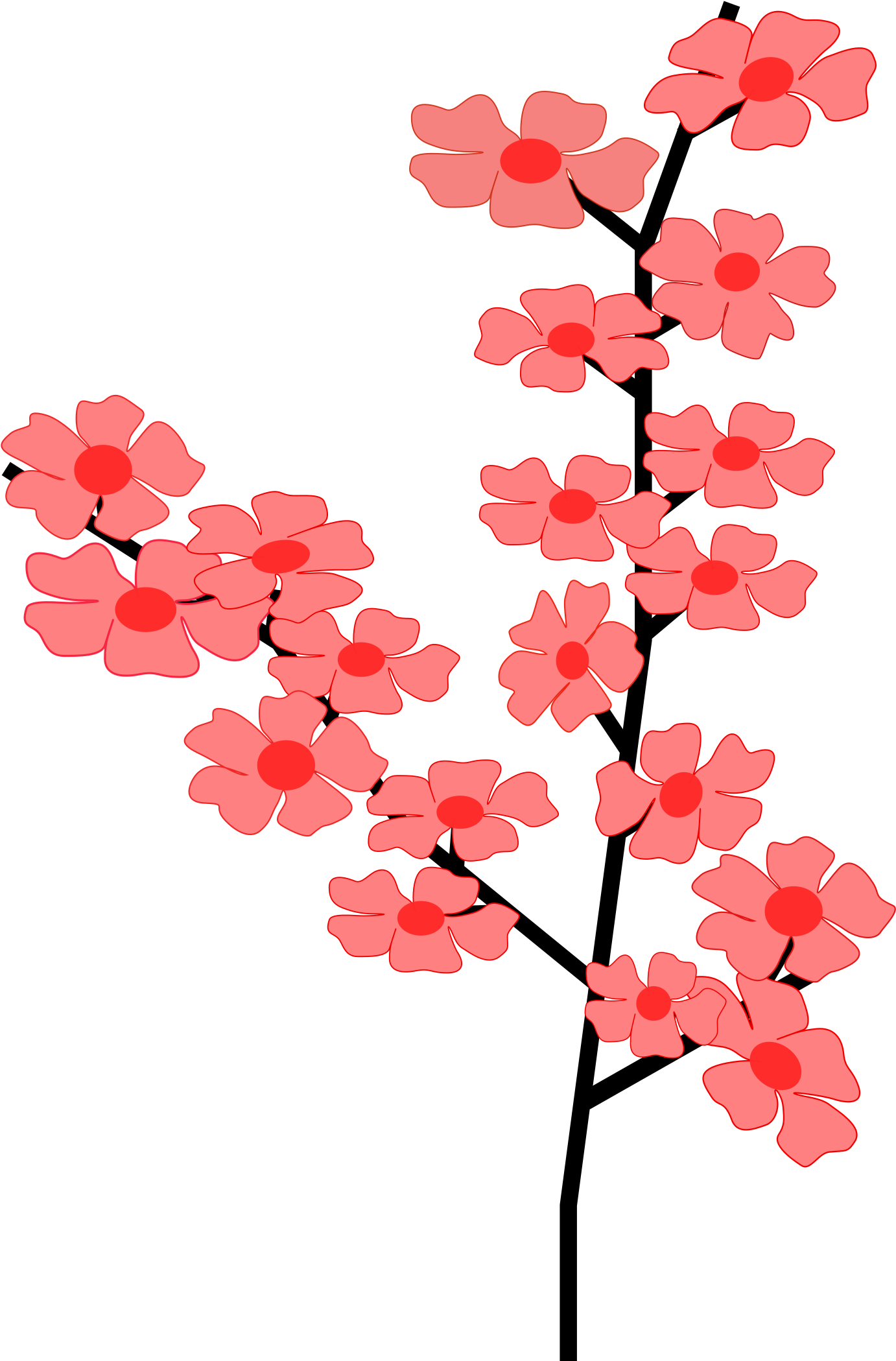 Flowers Sakura 2 Png Clip Arts - Cherry Blossom Clip Art (1697x2400)