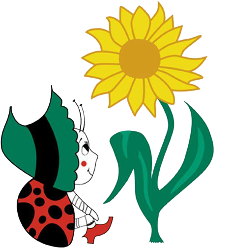 My Lady's Florist - My Lady's Florist (502x531)