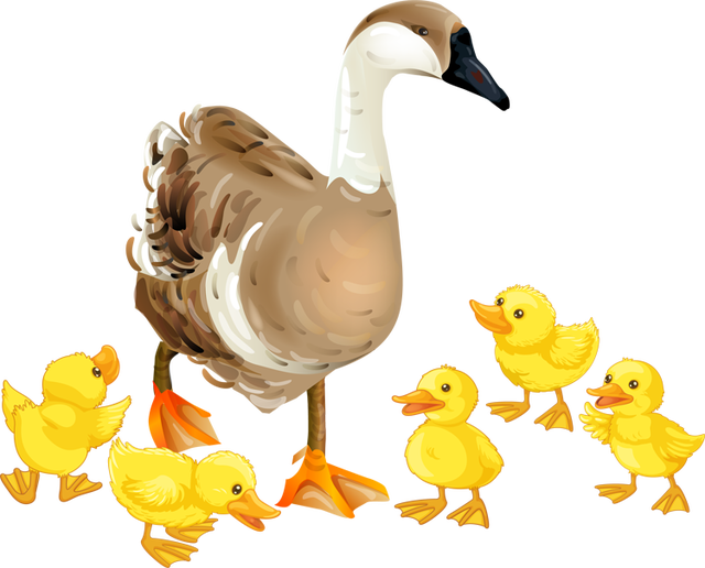 Baby Goose Clipart - Amazing Baby Birds To Color Coloring Book (640x516)