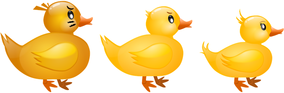 Baby Duck Clipart 11, - Cartoon (960x480)