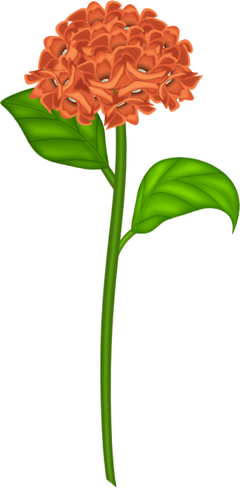 Orange Flower Of Fall - Clip Art (341x694)