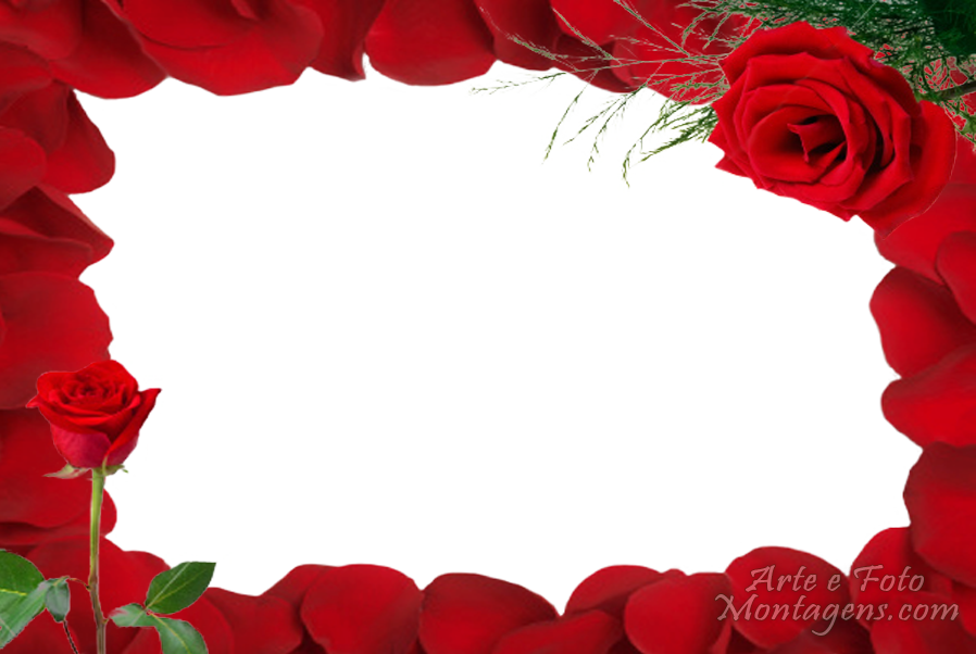Rosas Vermelhas - Bordas Com Flores Vermelhas (898x602)