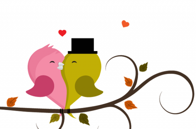 Cute Valentines Pics Of Birds Cuddling - Love Birds Cartoons (640x420)