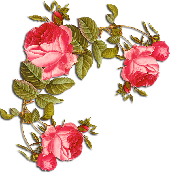 Crafts - Pierre-joseph Redoute Botanical Square Sticker 3" (600x609)