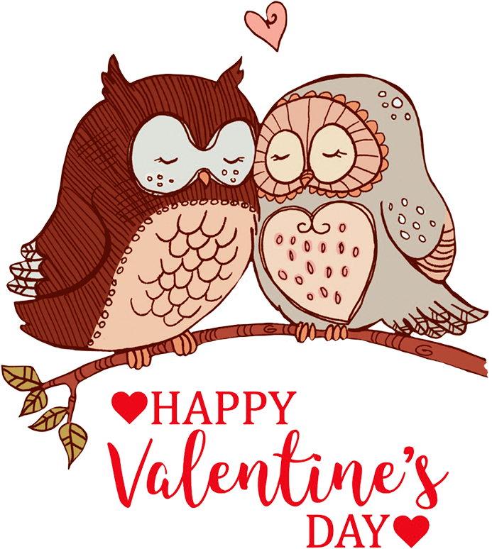 Happy Valentines Day Greeting Owls In Love - Happy Valentines Day Owl (819x886)