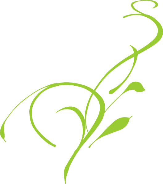Lily Clip Art Free (528x595)
