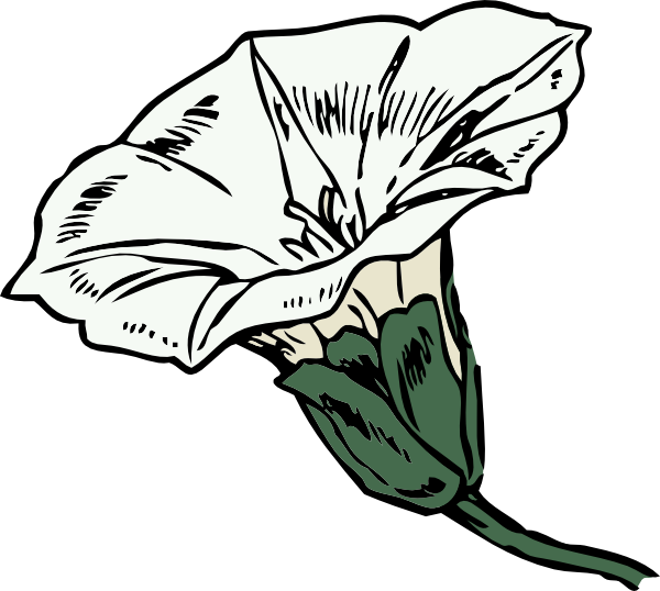 Free Vector Bindweed Clip Art - Clipart Yellow Bell Flower (600x538)