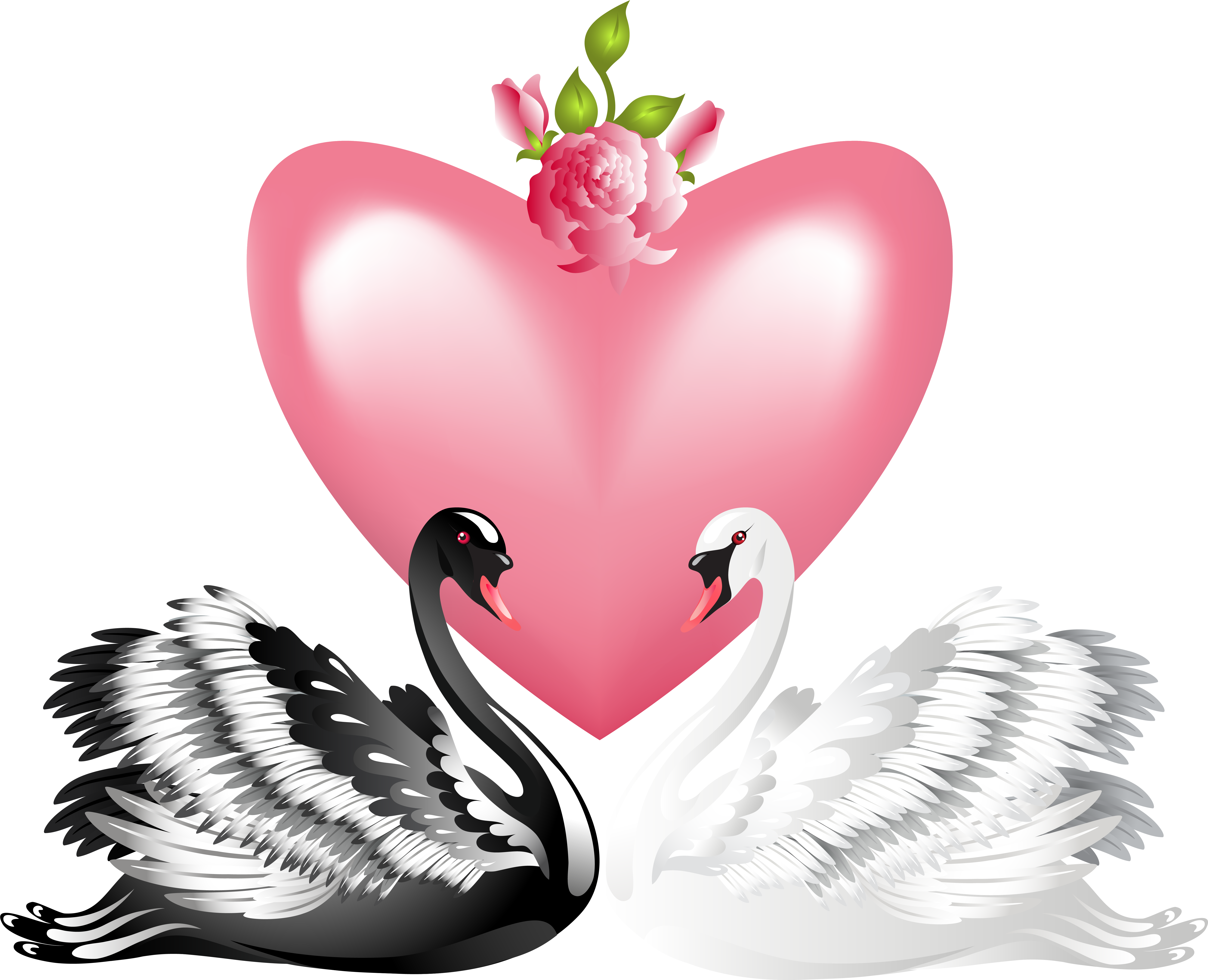 Valentine's Day Love Swans Transparent Png Clip Art - Swan Couple Clipart (6592x5324)