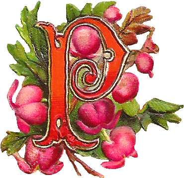 These Are Three Lovely Digital Drop Cap Letter Graphics - Letter P With Flowers (428x435)