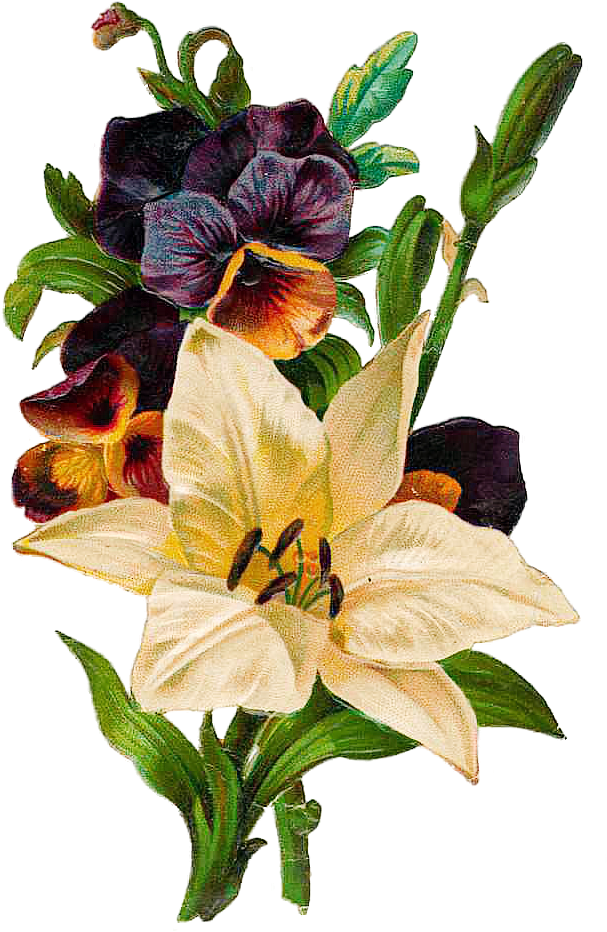 Http - //img Fotki - Yandex - Ru/get/5807/valenta Mog - Flower (626x945)