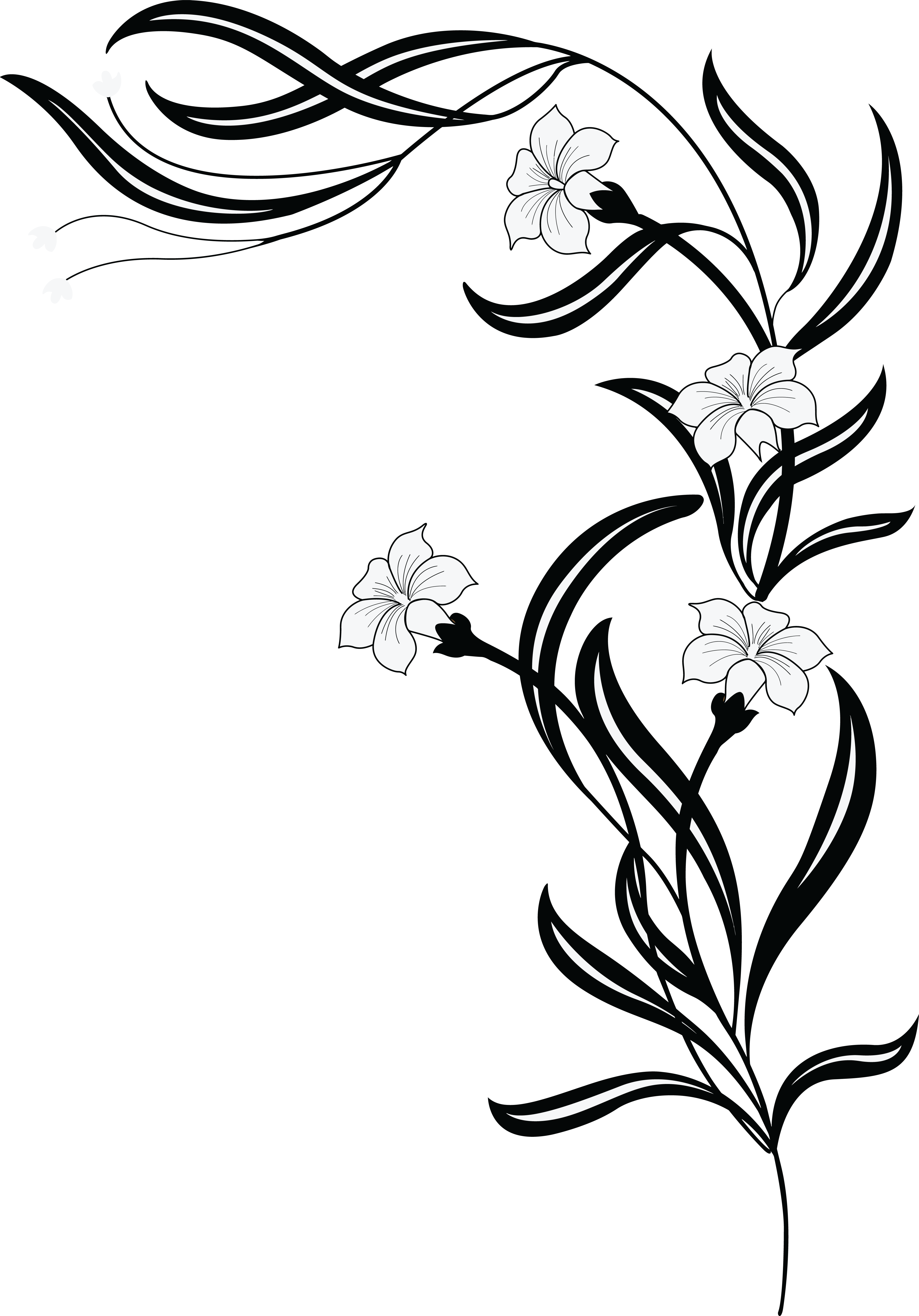 Free Clipart Of A Grayscale Floral Vine - Black & White Flowers Png.