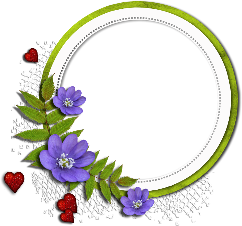 Floral Redondo - Пнг Рамки Летнии (800x749)