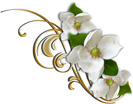 White Flower With Gold Decorative Elemant Clipart Flower - Marcos Para Fotos De Amor (500x398)
