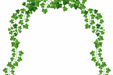 Arch Clipart Vine - Clip Art (450x300)