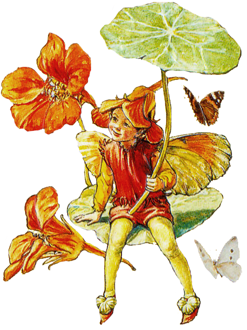 Vintage Fairies - Cicely Mary Barker (522x660)