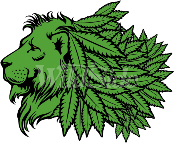 Green Lion Head With Marijuana Leaf Mane - Cannabis (600x600)