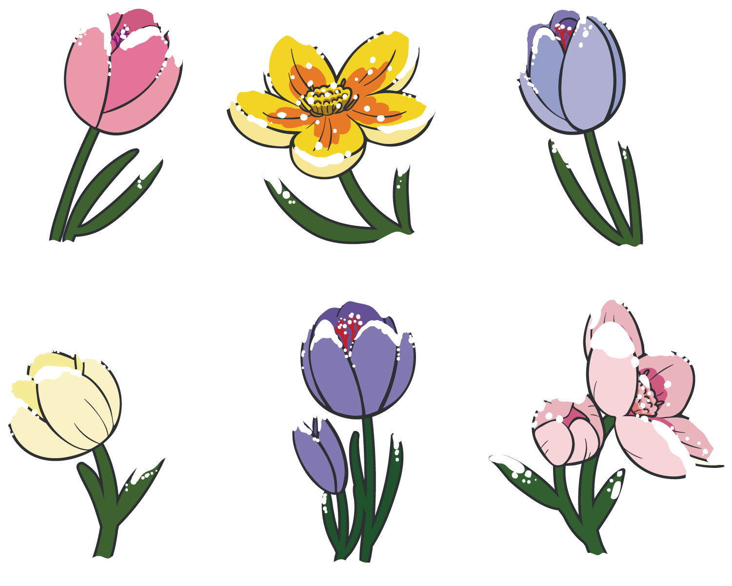 Tulip Floral Design Flower Clip Art - Tulip Floral Design Flower Clip Art (1500x1500)