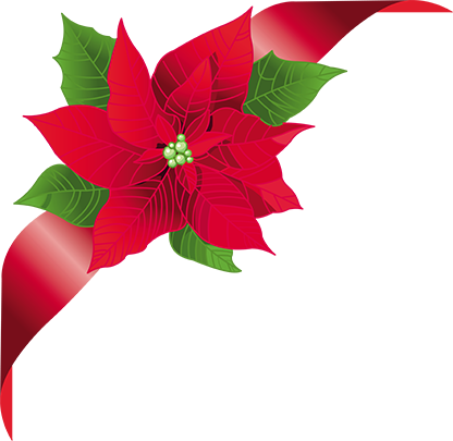 Flower Clipart, Christmas Clipart, Christmas Frames, - Gui Noel (800x778)