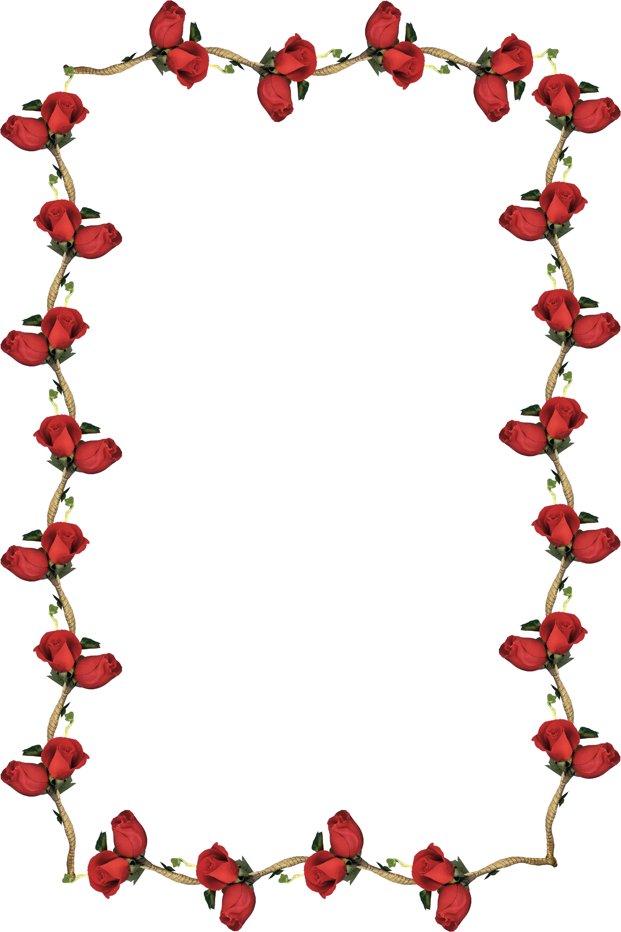 Frames, Search, Research, Searching, Frame - Red Roses Border Transparent (2000x3002)
