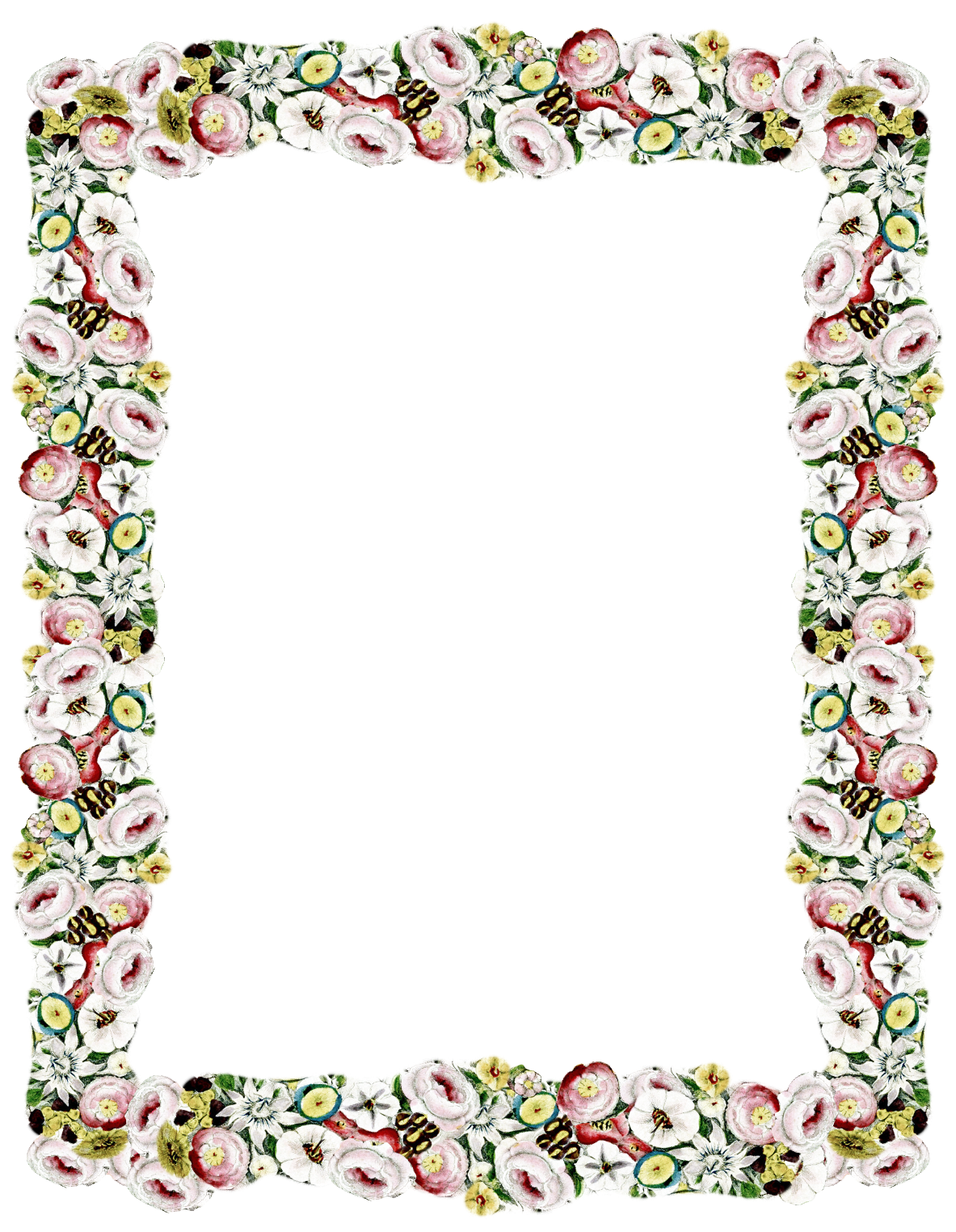 Free - Vintage Rose Borders And Frames (1183x1524)