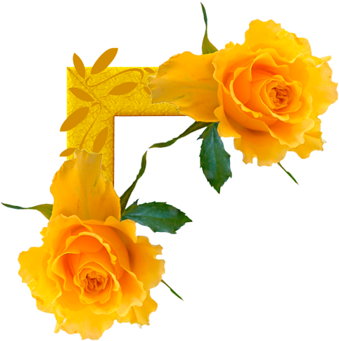 ≈ღfondos De Pantalla Y Mucho Másღ≈ - Primavera Para Colorir (488x512)