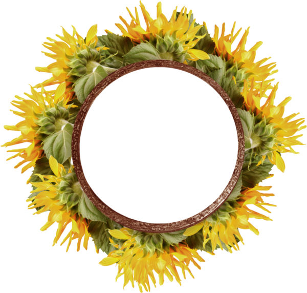 Portable Network Graphics (600x572)