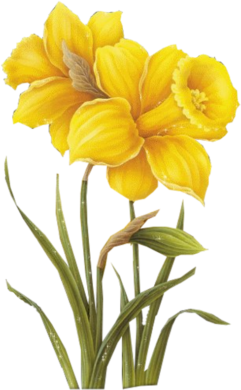 Yellow Flower Psd 454948 - Animated Letter A Gif (800x800)