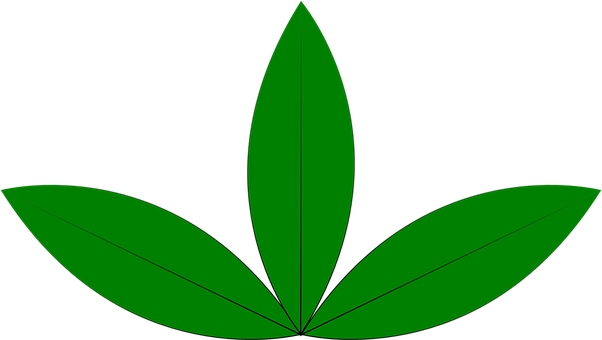 Ecología, Planta, Hojas, Verde, La Vida - 3 Leaves Clipart (602x340)