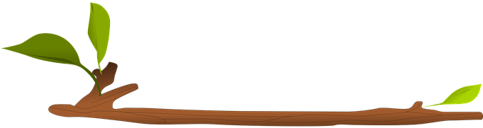 Zweig, Natürliche, Blatt, Frühling - กิ่ง ไม้ Png (680x340)