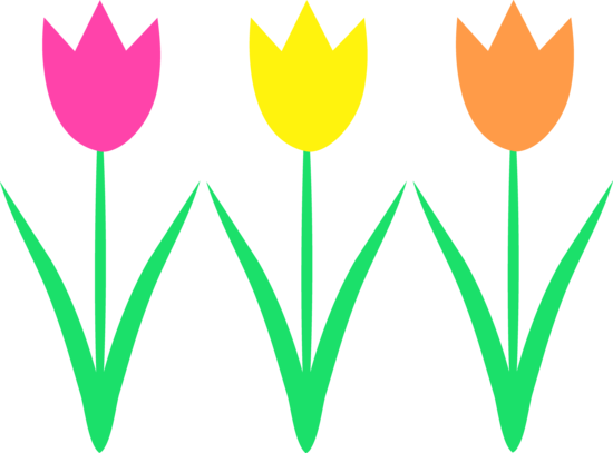 Cute Spring Tulips Clip Art - Spring Tulips Clip Art (550x407)