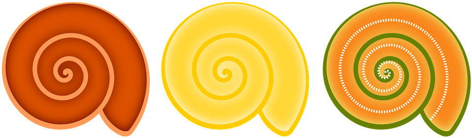 0 0 - Circle (1049x340)