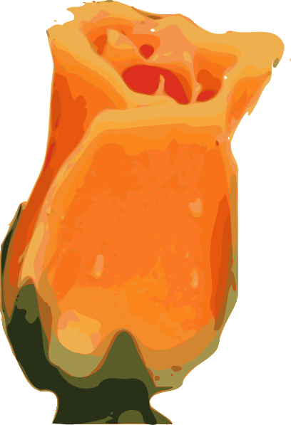 Orange Rose Bud Clipart (513x750)