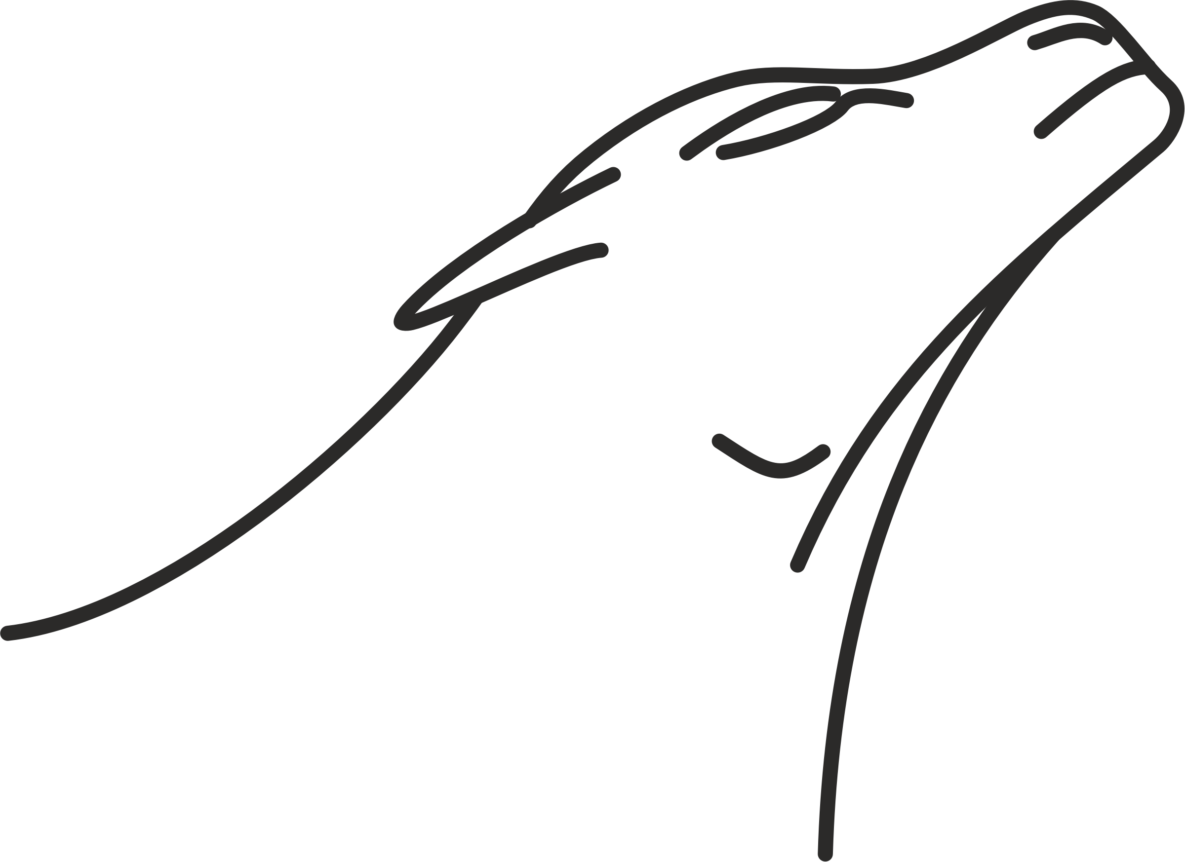 Lion Simba Line Art Drawing Clip Art - Lion Simba Line Art Drawing Clip Art (2400x1747)