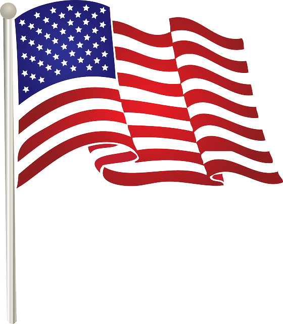 Flag, States, Free, United, American, Waving, Us, State - American Flag Clip Art (560x640)