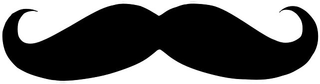 Mustache-161330 - Hipster Mustache Logo (640x320)