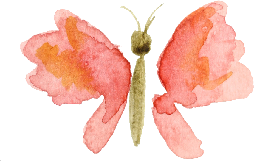 Scrap - Orange Watercolor Butterfly Png (1024x996)