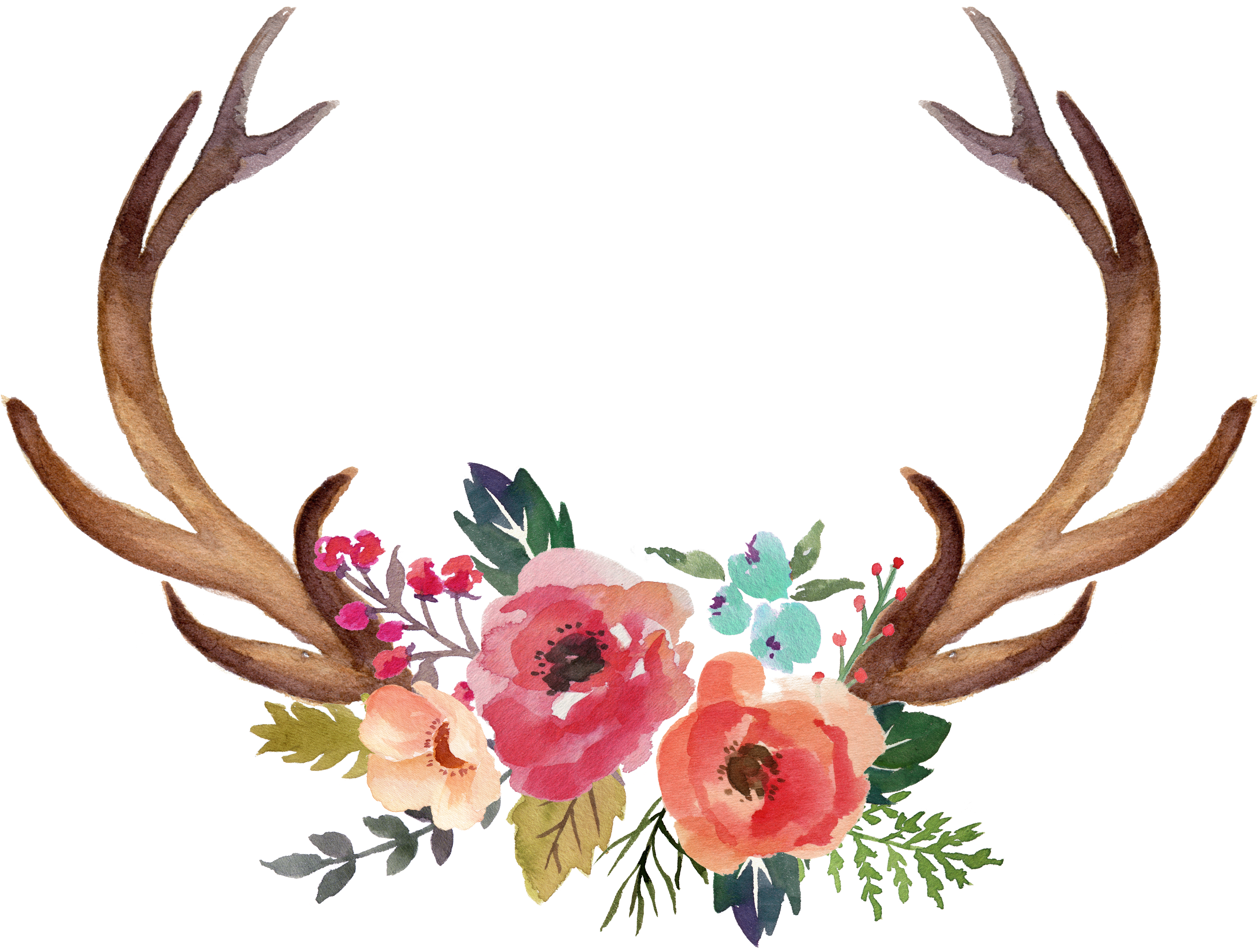 Deer Antler Moose Flower Clip Art - Deer Antler Moose Flower Clip Art (8993x6807)