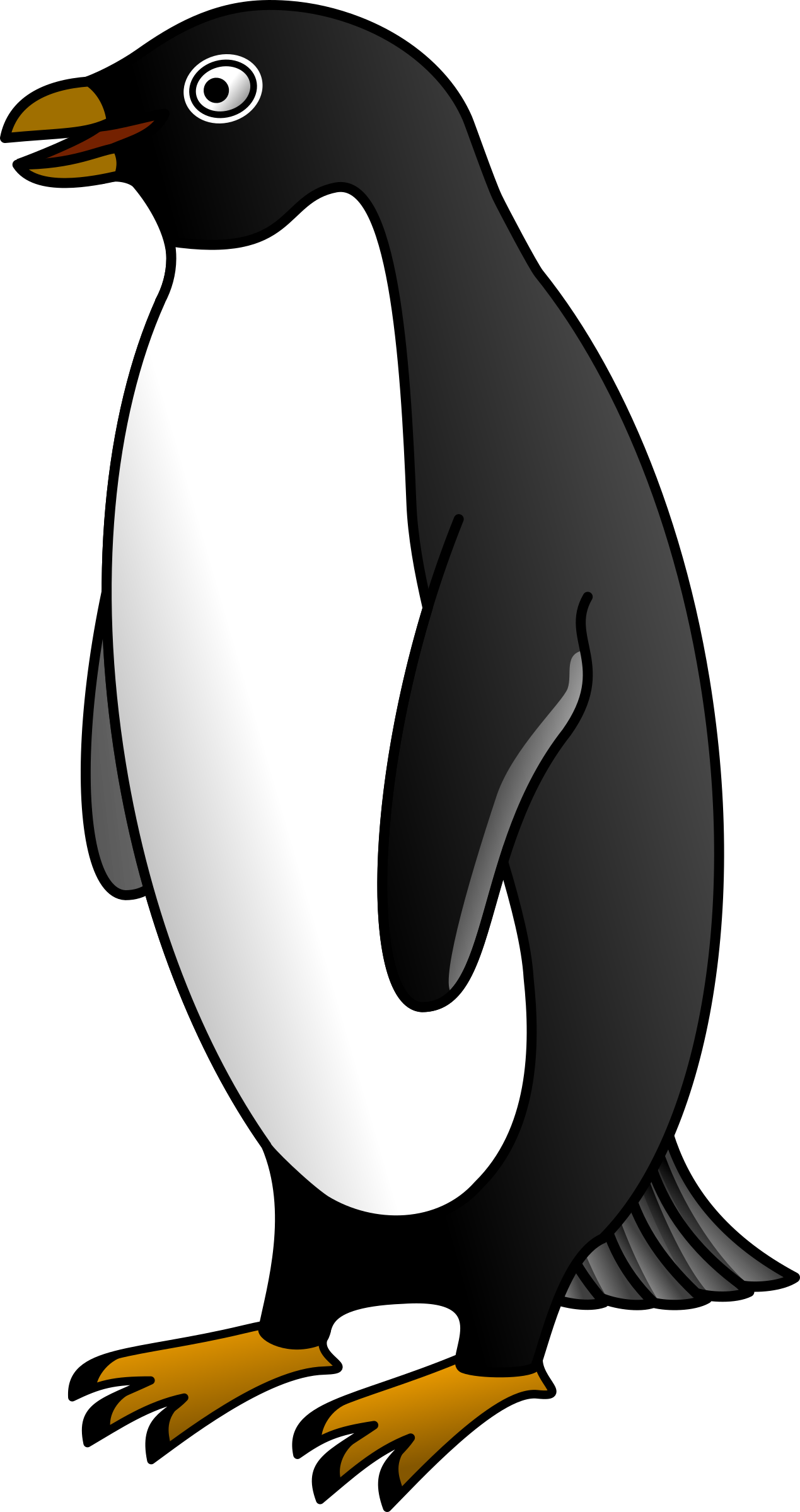 Penguin Images Black And White (1269x2400)