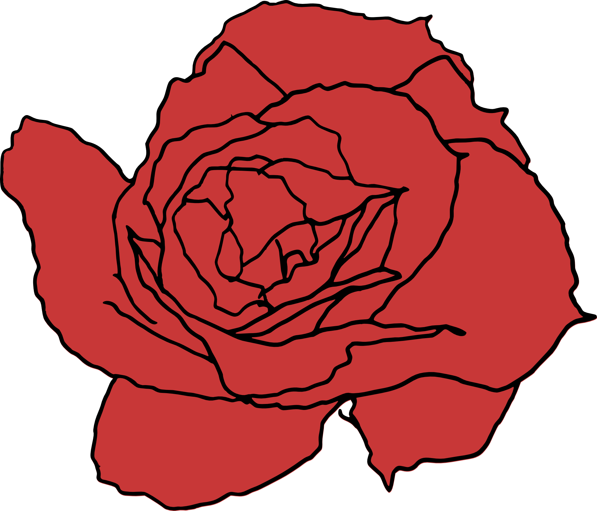 Free Download - Rose Drawing Png (1996x1709)