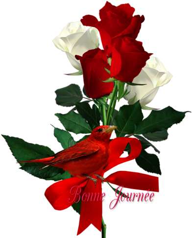 2-3 43 1 - Rose (399x500)