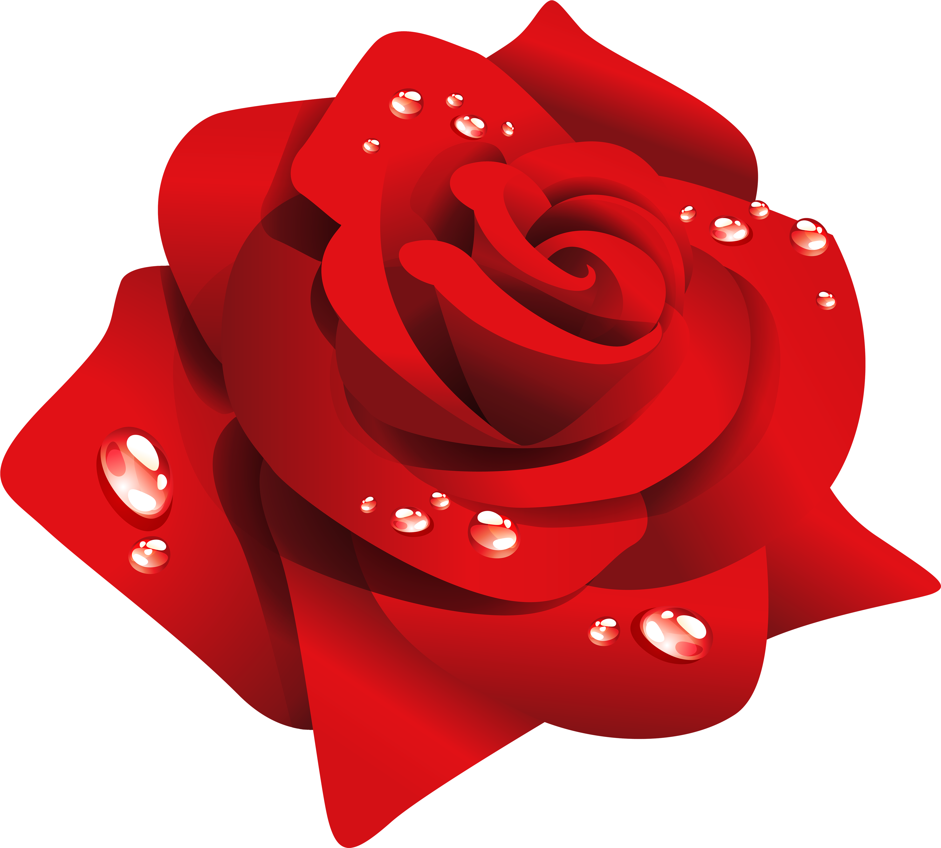 Red Rose With Dew Png Clipart - Rose (4000x3602)
