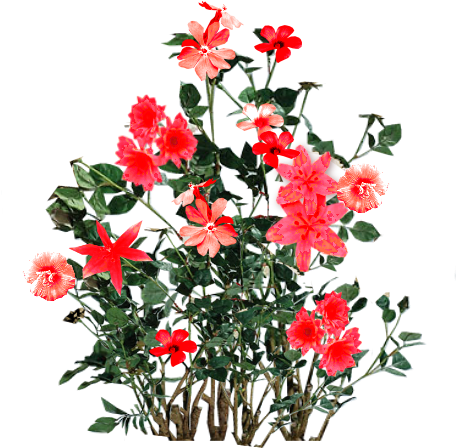 Red Flower Bunch Png - Flower Photoshop Plant Png (512x512)