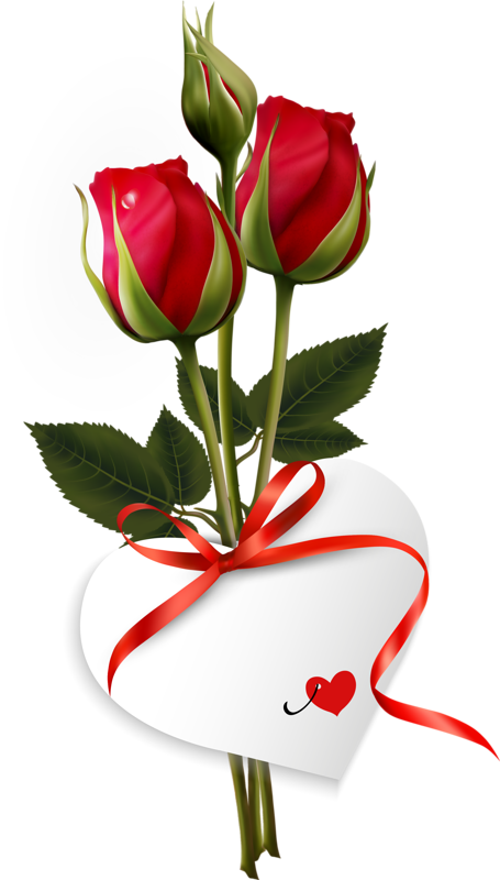 Good Morning Wishes Quotes - Good Morning With Rose (455x800)