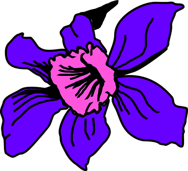 Petals, Bloom, Flower, Plant, Lilac - Imagenes De Orquidea De Colombia (374x340)